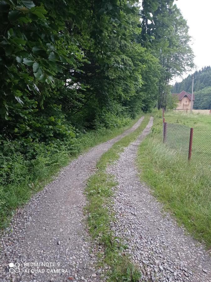 Садиба Брусний Mîkulîciîn Exterior foto